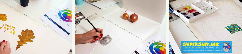 [Елизавета Залегина] Вводный курс для начинающих (_0.png